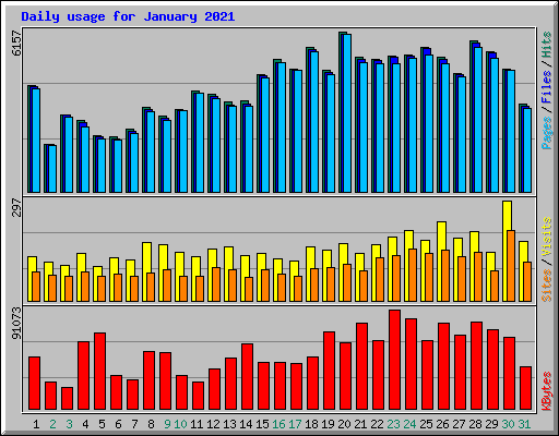 Daily usage for January 2021
