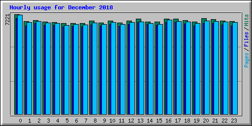 Hourly usage for December 2018