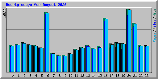 Hourly usage for August 2020