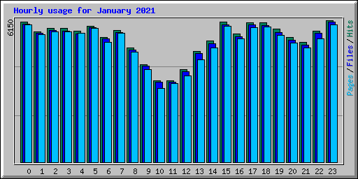 Hourly usage for January 2021