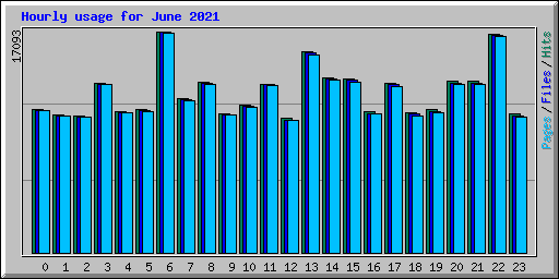 Hourly usage for June 2021