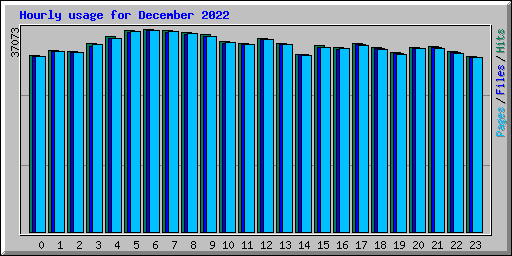 Hourly usage for December 2022