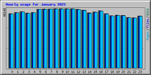 Hourly usage for January 2023