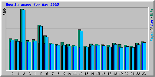 Hourly usage for May 2025
