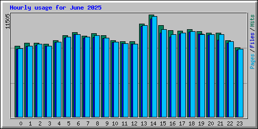 Hourly usage for June 2025