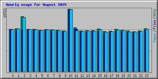 Hourly usage for August 2025