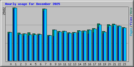 Hourly usage for December 2025