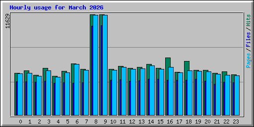 Hourly usage for March 2026