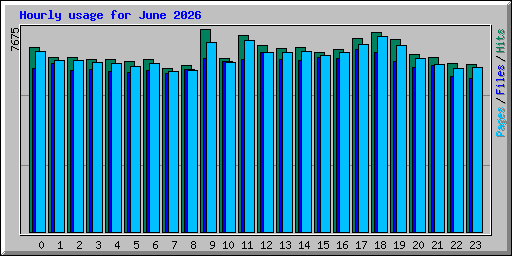 Hourly usage for June 2026