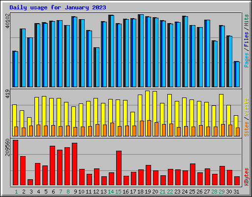 Daily usage for January 2023