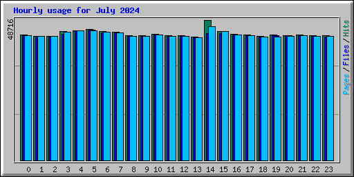 Hourly usage for July 2024