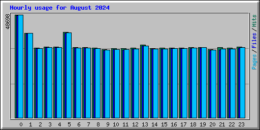 Hourly usage for August 2024