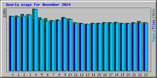 Hourly usage for November 2024