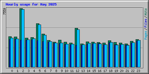 Hourly usage for May 2025