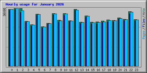 Hourly usage for January 2026