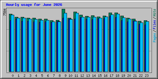 Hourly usage for June 2026